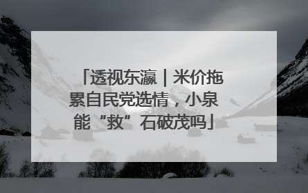 透视东瀛｜米价拖累自民党选情，小泉能“救”石破茂吗