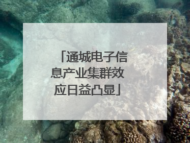 通城电子信息产业集群效应日益凸显