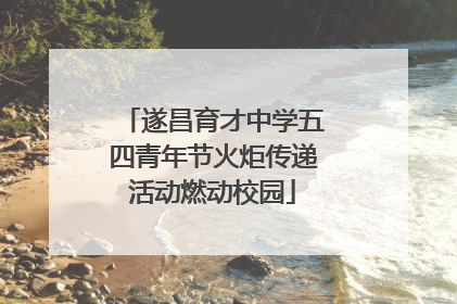 遂昌育才中学五四青年节火炬传递活动燃动校园