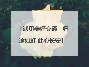 遇见美好交通｜归途如虹 此心长安