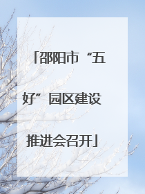 邵阳市“五好”园区建设推进会召开