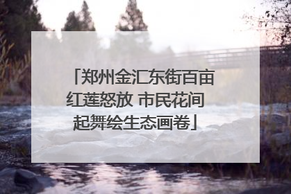 郑州金汇东街百亩红莲怒放 市民花间起舞绘生态画卷