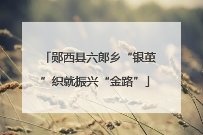 郧西县六郎乡“银茧”织就振兴“金路”