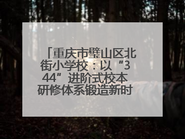 重庆市璧山区北街小学校：以“344”进阶式校本研修体系锻造新时代强师