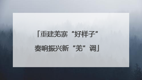 重建羌寨“好样子” 奏响振兴新“羌”调