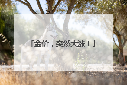 金价，突然大涨！