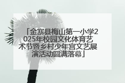 金寨县梅山第一小学2025年校园文化体育艺术节暨乡村少年宫文艺展演活动圆满落幕