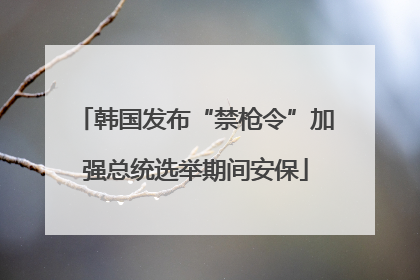 韩国发布“禁枪令”加强总统选举期间安保