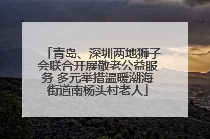 青岛、深圳两地狮子会联合开展敬老公益服务 多元举措温暖潮海街道南杨头村老人
