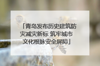 青岛发布历史建筑防灾减灾新标 筑牢城市文化根脉安全屏障