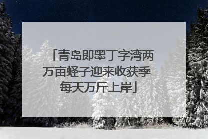 青岛即墨丁字湾两万亩蛏子迎来收获季 每天万斤上岸