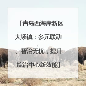 青岛西海岸新区大场镇：多元联动、智治无忧，提升综治中心新效能