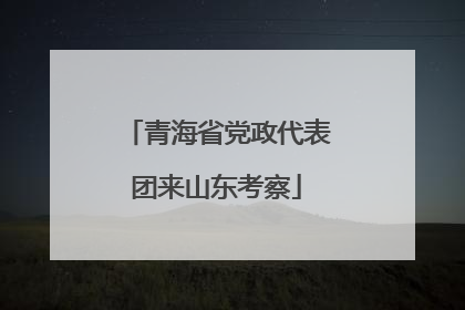 青海省党政代表团来山东考察