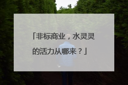 非标商业，水灵灵的活力从哪来？