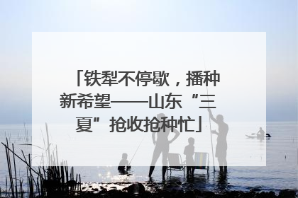 铁犁不停歇，播种新希望——山东“三夏”抢收抢种忙