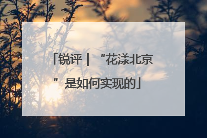 锐评｜“花漾北京”是如何实现的