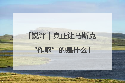 锐评｜真正让马斯克“作呕”的是什么