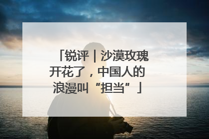 锐评｜沙漠玫瑰开花了，中国人的浪漫叫“担当”
