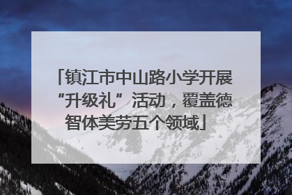 镇江市中山路小学开展“升级礼”活动，覆盖德智体美劳五个领域