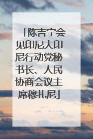 陈吉宁会见印尼大印尼行动党秘书长、人民协商会议主席穆扎尼