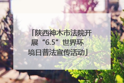 陕西神木市法院开展“6.5”世界环境日普法宣传活动