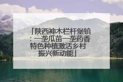 陕西神木栏杆堡镇：一垄瓜苗一垄药香 特色种植激活乡村振兴新动能