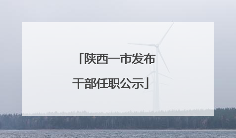 陕西一市发布干部任职公示