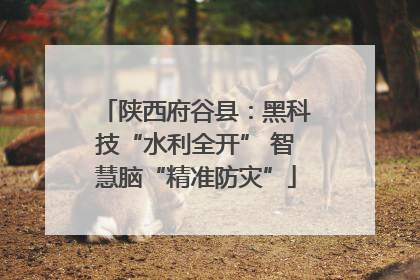 陕西府谷县：黑科技“水利全开” 智慧脑“精准防灾”