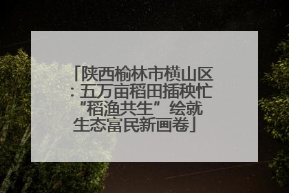 陕西榆林市横山区：五万亩稻田插秧忙 “稻渔共生”绘就生态富民新画卷