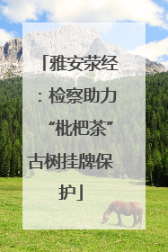 雅安荥经：检察助力“枇杷茶”古树挂牌保护