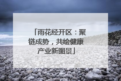 雨花经开区：聚链成势，共绘健康产业新图景