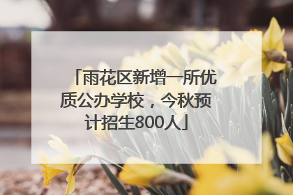 雨花区新增一所优质公办学校，今秋预计招生800人