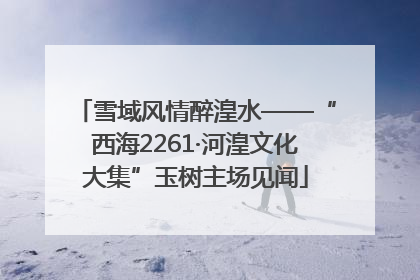 雪域风情醉湟水——“西海2261·河湟文化大集”玉树主场见闻