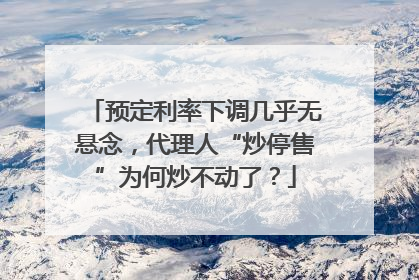预定利率下调几乎无悬念，代理人“炒停售”为何炒不动了？