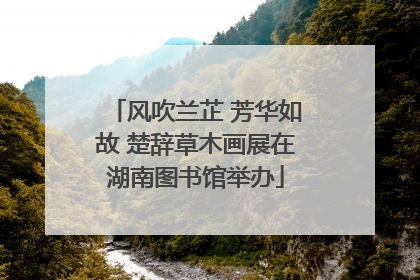 风吹兰芷 芳华如故 楚辞草木画展在湖南图书馆举办