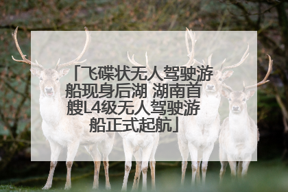 飞碟状无人驾驶游船现身后湖 湖南首艘L4级无人驾驶游船正式起航
