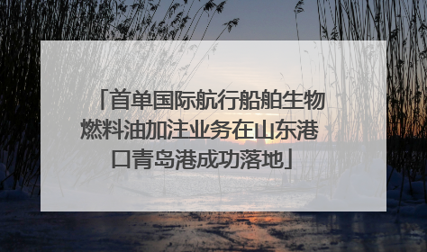 首单国际航行船舶生物燃料油加注业务在山东港口青岛港成功落地