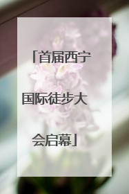 首届西宁国际徒步大会启幕