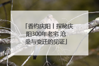香约庆阳丨探秘庆阳300年老宅 沧桑与变迁的见证