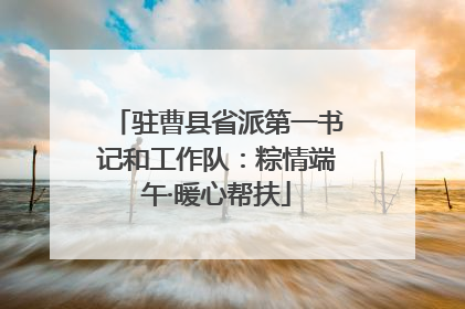 驻曹县省派第一书记和工作队：粽情端午·暖心帮扶