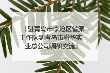 驻青岛市李沧区省派工作队到青岛市舜华实业总公司调研交流