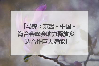 马媒：东盟－中国－海合会峰会助力释放多边合作巨大潜能