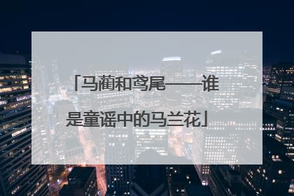 马蔺和鸢尾——谁是童谣中的马兰花