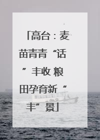 高台：麦苗青青“话”丰收 粮田孕育新“丰”景
