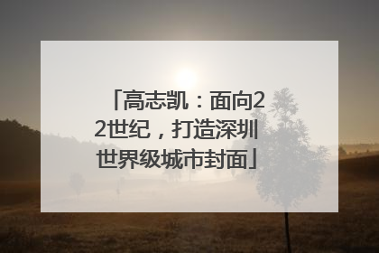 高志凯：面向22世纪，打造深圳世界级城市封面