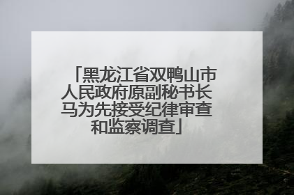 黑龙江省双鸭山市人民政府原副秘书长马为先接受纪律审查和监察调查