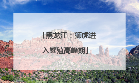 黑龙江：狮虎进入繁殖高峰期