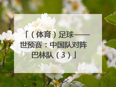 （体育）足球——世预赛：中国队对阵巴林队（3）