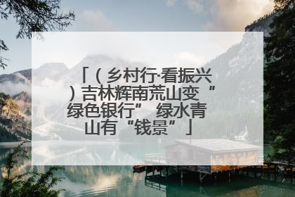 （乡村行·看振兴）吉林辉南荒山变“绿色银行” 绿水青山有“钱景”