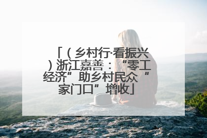 （乡村行·看振兴）浙江嘉善：“零工经济”助乡村民众“家门口”增收